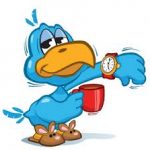 Early bird