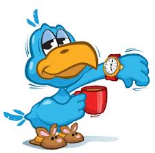 Early bird